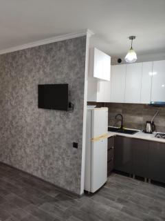 Apartment on Tigranyan Street - Erevan - 1