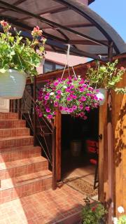 Casa Fabrizio - Călimăneşti - 7