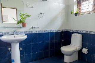 Greenscape Colombo - 7