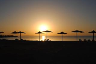 Compound cecelia - 3