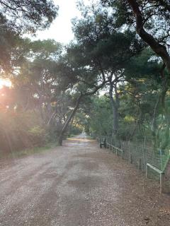 Whole Flat, Central Location, Seaside Town - 9