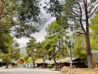 Whispering Pines Lodge - Kernville - 6