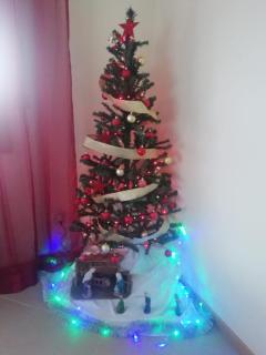 Casa da Fonte em Prada, Vinhais - 5