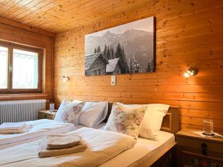 Spitzen Blicke – Apartments - Silbertal - 5