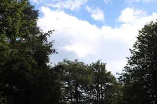 Cabañas Pun May - 4