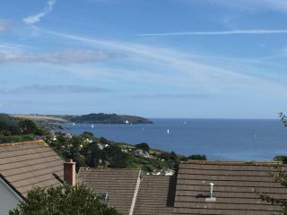 No.48 Falmouth - 10 minutes walk to the beach - Falmouth - 5