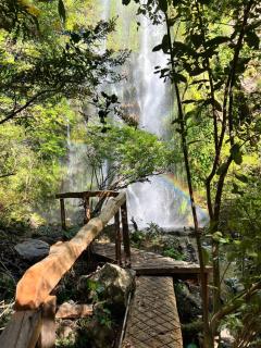 Cabañas Altos del Sollipulli - 4