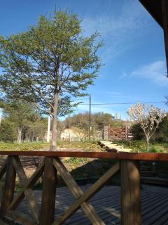 Cabaña Turismo EL SUSURRO - 5