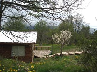 Cabaña Turismo EL SUSURRO - 8