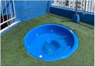 Vista Al Mar, Aire Acondicionado en Todo el Apto, Wi-Fi, Parqueadero - Cartagena das Índias - 7