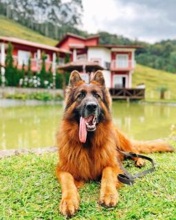 AMPLA CASA DE CAMPO - Afaven - 9