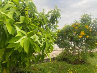 Romyen House - Ban Nong Nam Khan - 7