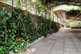 Trang Thanh Luxury Apartment - Hai Phong - 6