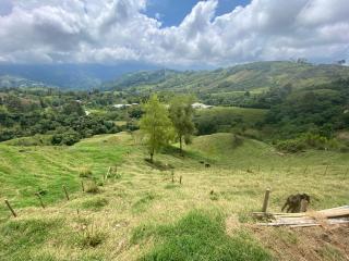 Finca Hotel Los Felipes - Neira - 2