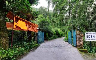Ayar Jungle Resort - Nainital - 3