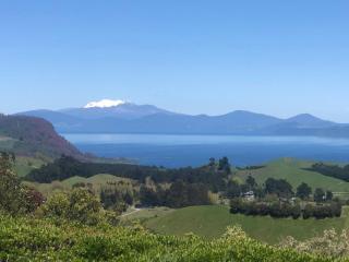 Whakaipo Bay Cabin Retreat Taupo - Taupo - 7
