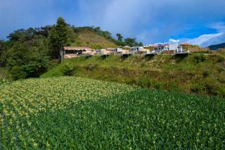 Stellar GoldenHill Cameron - Tanah Rata - 4