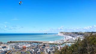 Le Paradis des Fleurs - 7