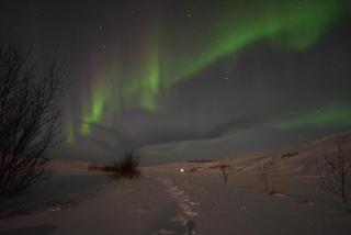 Vogur Country Lodge - 9