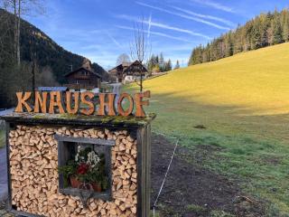 Apartment Knaushof by Interhome - Ramsau am Dachstein - 9