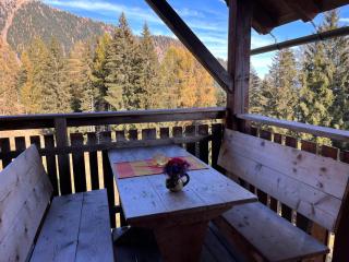 Chalet Wassertheureralm by Interhome - Greifenburg - 9