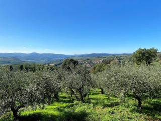 Apartment Villa Grassina-7 by Interhome - Pelago - 4
