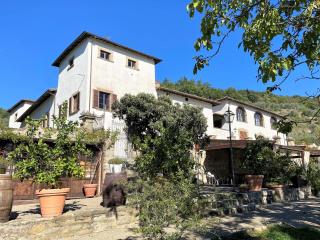 Apartment Villa Grassina-1 by Interhome - Pelago - 0