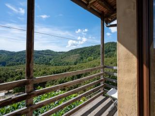 Apartment Giallo by Interhome - 1