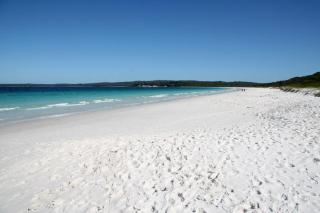Hyams Beach House A - Brand new lux beach Oasis - Hyams Beach - 8