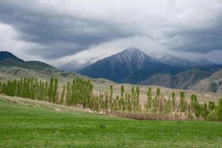 Barskoon Guest House - 7