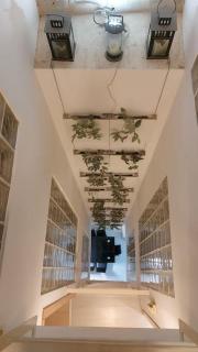 Luxury Complete Building in the Heart of Seville - Sevilla - 4