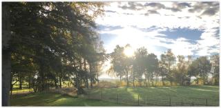Getelodge - Private Family Country Lodge - Child and Pet friendly - Getelo - 0
