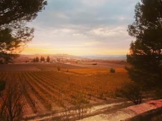 Les gîtes de Pailhès - 1