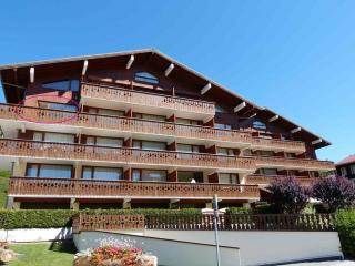Studio avec garage, proche remontées et commerces, animaux admis - FR-1-304-33 - La Clusaz - 9