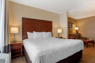 Comfort Suites Foley - North Gulf Shores - Foley - 7