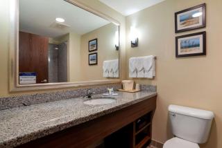 Comfort Suites Foley - North Gulf Shores - Foley - 6