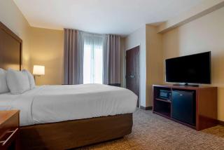 Comfort Suites Foley - North Gulf Shores - Foley - 4