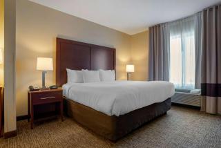 Comfort Suites Foley - North Gulf Shores - Foley - 3