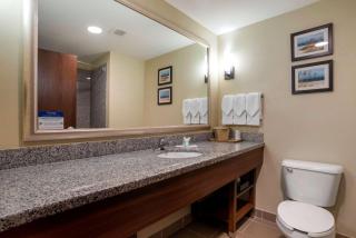 Comfort Suites Foley - North Gulf Shores - Foley - 2