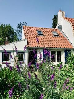Little Secret Zeeland + ligbad - Schoondijke - 0