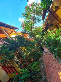 Viet Thanh Resort - 5