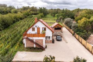 Kapocs Apartmanház - Borgáta - 9