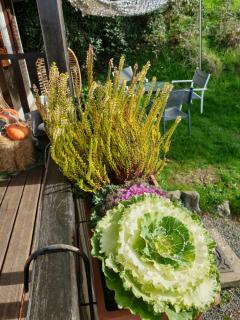 Chalet le logis des autre - Vireux-Wallerand - 6