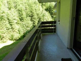 Location 7 Laux - 5 pers, 24m², 400m pistes, balcon, ski aux pieds, parking gratuit - FR-1-557A-45 - 3
