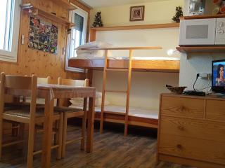 Studio cosy pour 3 pers, 200m des pistes, Le Pleynet - FR-1-557A-51 - La Ferrière - 7
