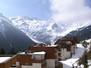 Le Pleynet: 2P Cabine, 30m², 6 pers, à 300m des pistes, balcon, ascenseur - FR-1-557A-49 - 4