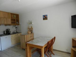 Appartement 6 pers, 1 cabine, au pied des pistes, balcon, ascenseur - FR-1-557A-50 - La Ferrière - 9
