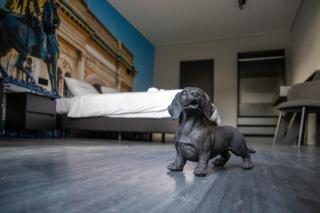 Hotel Four - Geldrop - 9