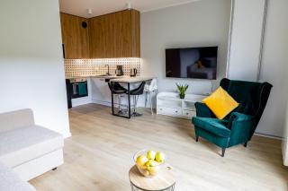 Uroczy apartament typu Studio w ścisłym centrum Szczecina - Stettino - 7