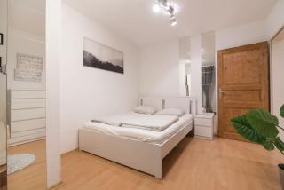 Spacious central apartment - Vienna - 7